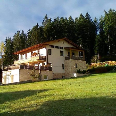 Transylvania Villa & Spa Gosau Exteriér fotografie